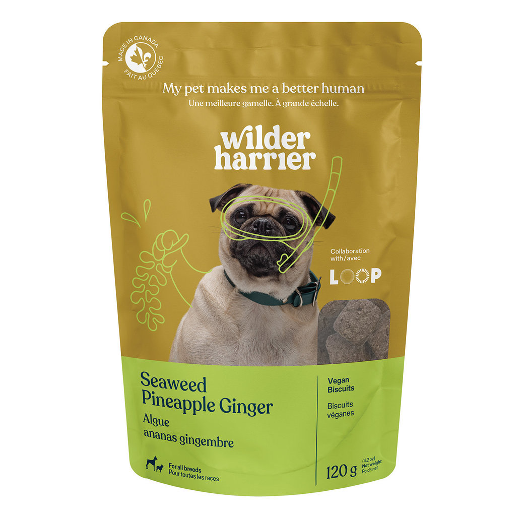 View larger image of Wilder Harrier, Vegan Biscuits - Seaweed Pineapple Ginger - 120 g